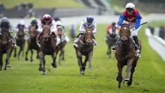 Horses at the finish